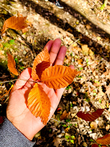 State Park «Alapocas Run State Park», reviews and photos, 1914 W Park Dr, Wilmington, DE 19803, USA