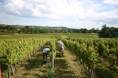 Chateau Bessan à Tabanac
