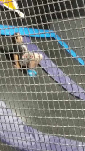 Amusement Center «Flight Trampoline Park New Britain», reviews and photos, 140 Production Ct, New Britain, CT 06051, USA