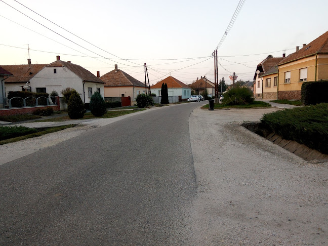 Comentarii opinii despre Csonka Szilvia - Sziszi Vendéglő