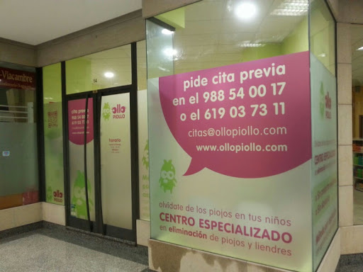 Información y opiniones sobre Ollo Piollo Ourense de Orense