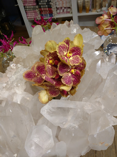 Florist «Bloom by Anuschka», reviews and photos, 2353 E 3rd Ave, Denver, CO 80206, USA