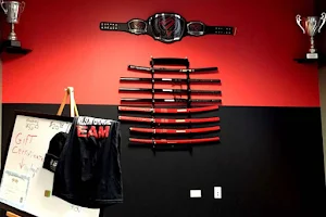 Carlson Gracie MMA - Channahon image