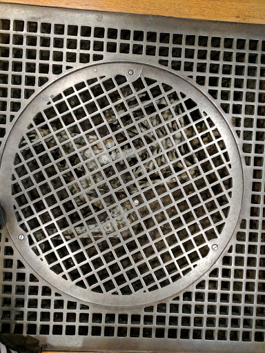 Explore dominant tattoo ideas, creative tattoo ideas in Portland, available at Adorn East