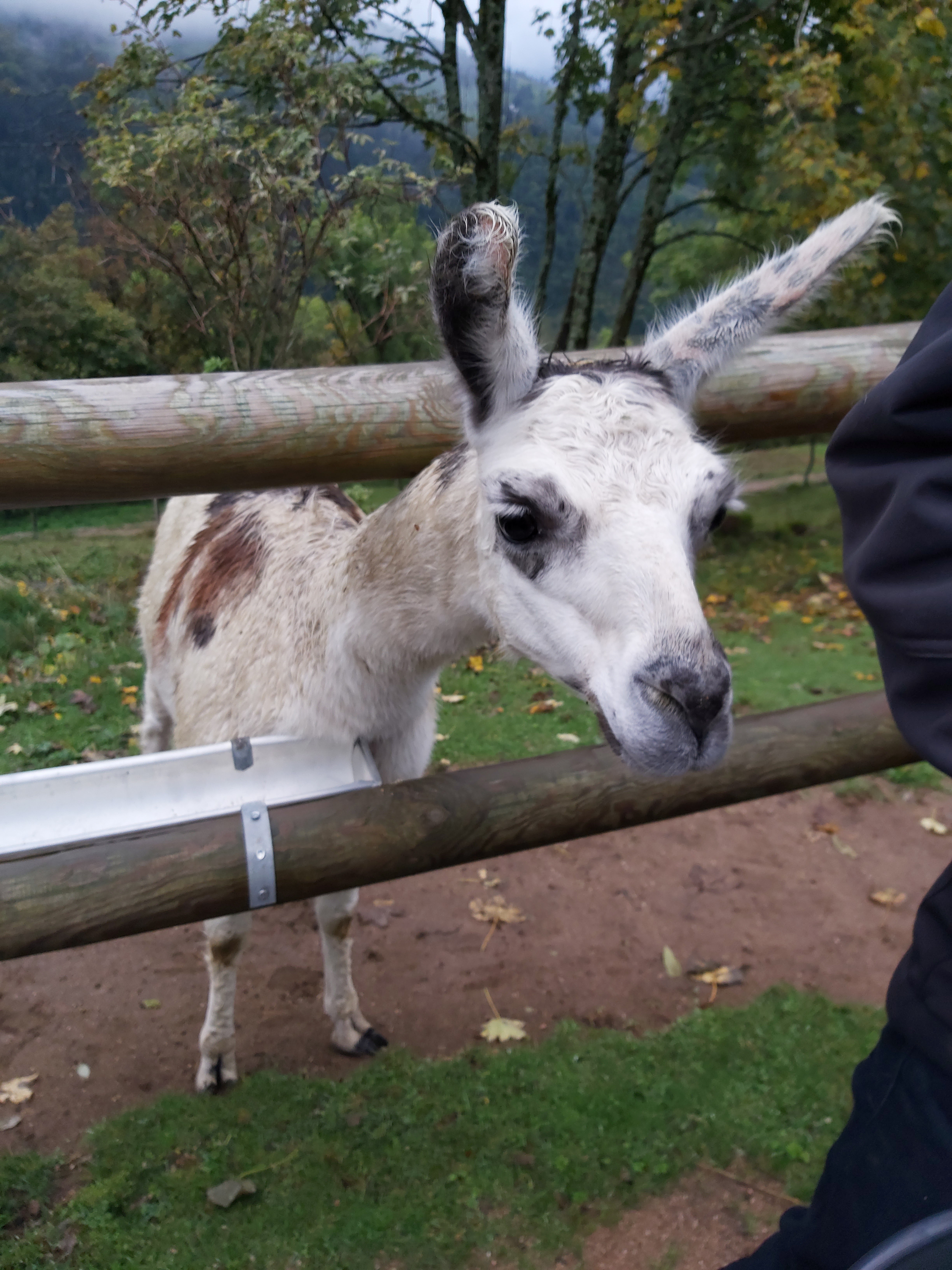 Photo n° 2 de l'avis de Mo.a fait le 06/10/2019 à 15:33