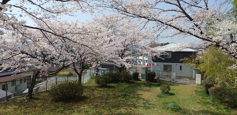 鵜ヶ崎公園