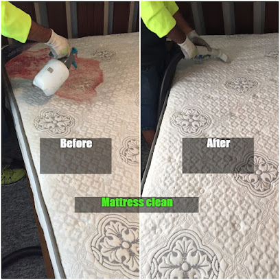 Raymond Carpet clean and Pest control