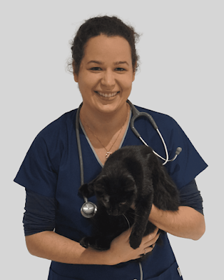 Clinique Vétérinaire Du Panier Fleuri à Saint-Maixent-l'École