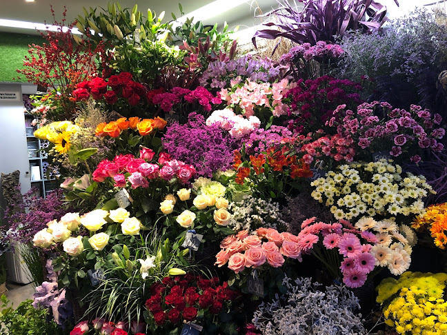 Comentarii opinii despre Aga Flowers