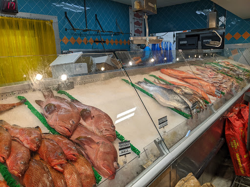 Butcher Shop «Broward Meat & Fish Grocery», reviews and photos, 3388 N State Rd 7, Lauderdale Lakes, FL 33319, USA