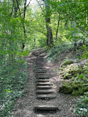 Escalier forestier, accès au Fort de Chaudanne à Besançon