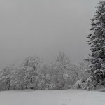 Photo n°2 de l'avis de Federico.a fait le 10/03/2019 à 15:39 sur le  Baita Civetta al casot à Val di Zoldo