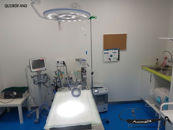 Imagen de Centro Veterinario Animalia (1 de 11)