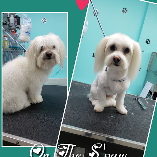 On The S'paw Pet Grooming Salon