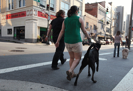 Dog Trainer «Dog Door Behavior Center and Outfitters», reviews and photos, 1 Battle Square A, Asheville, NC 28801, USA