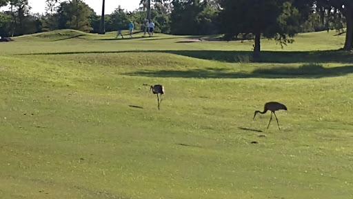 Golf Course «River Run Golf Links», reviews and photos, 1801 27th St E, Bradenton, FL 34208, USA