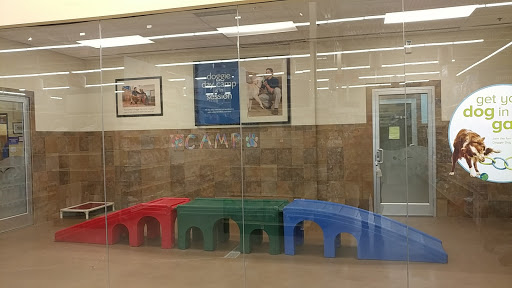 Pet Supply Store «PetSmart», reviews and photos, 1700 Fruitville Pike, Lancaster, PA 17601, USA