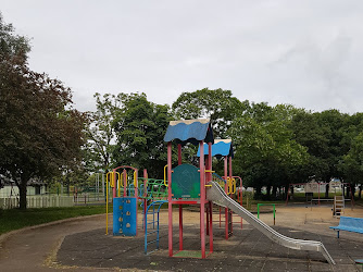 New Ross Park (Pearse Park)