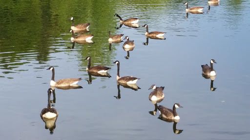 Park «NARA Park», reviews and photos, 25 Ledge Rock Way, Acton, MA 01720, USA