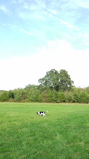 Dog Park «Rock Hill District Park», reviews and photos, 15150 Old Lee Rd, Chantilly, VA 20151, USA