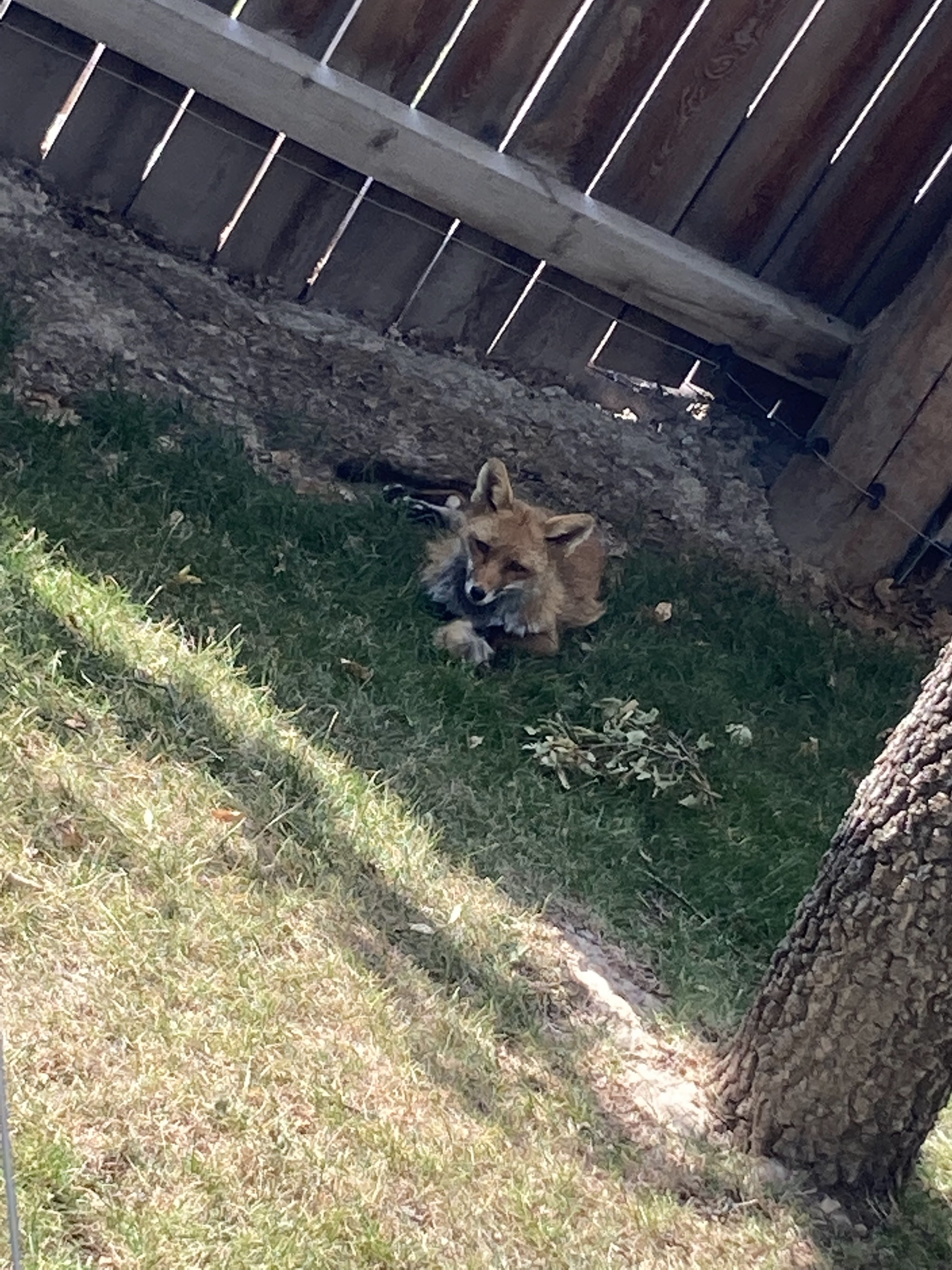 Photo n° 4 de l'avis de Laurianne.o fait le 26/08/2022 à 16:16