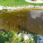 Photo n°2 de l'avis de Moira.o fait le 14/07/2020 à 23:21 sur le  Agriturismo Il Timo à Magliano de' Marsi