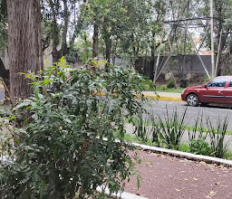 Vergel de Coyoacán Park photo