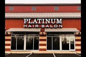 Platinum Hair Salon image
