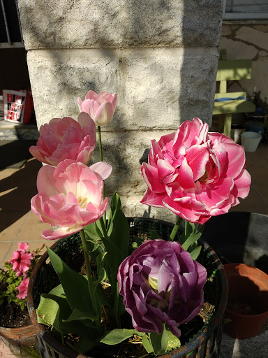 puertas automaticas Figueruela De Arriba en Figueruela de Arriba