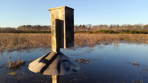 Nature Preserve «Wye Island Natural Resources Management Area», reviews and photos, 632 Wye Island Rd, Queenstown, MD 21658, USA