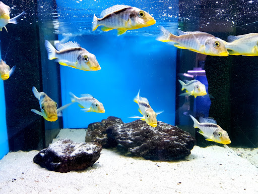 Aqua-Treff unter Meerbusch, 