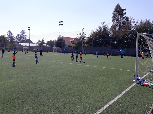 Opiniones de R&F SOCCER en Chillán - Campo de fútbol
