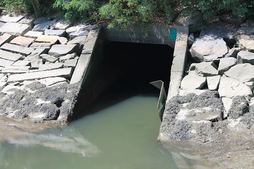 Park «Dorchester Shores Reservation Victory Road Park», reviews and photos, Victory Rd, Dorchester, MA 02122, USA