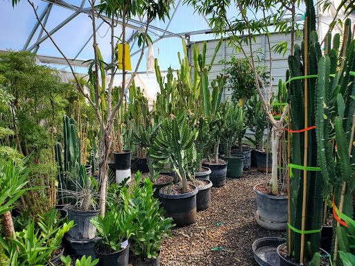 Florist «Little Eden Plantscaping», reviews and photos, 15550 W 72nd Ave, Arvada, CO 80007, USA