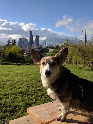 Park «Dr. Jose Rizal Park», reviews and photos, 1007 12th Ave S, Seattle, WA 98144, USA