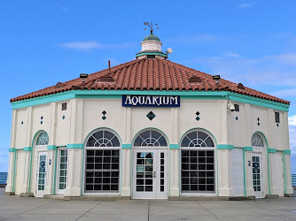 Roundhouse Aquarium