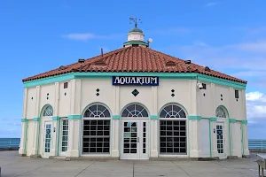 Roundhouse Aquarium image
