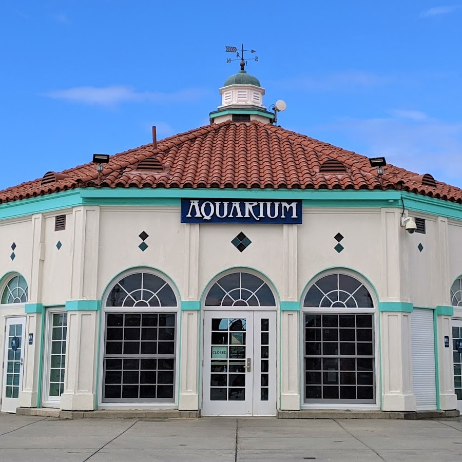 Roundhouse Aquarium