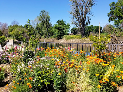 Event Venue «Viaggio Estate & Winery», reviews and photos, 100 E Taddei Rd, Acampo, CA 95220, USA