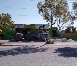 El Grano de Oro S.A. de C.V. photo