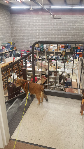 Thrift Store «The Treasure Hound», reviews and photos, 14508 Old Lee Rd, Chantilly, VA 20151, USA