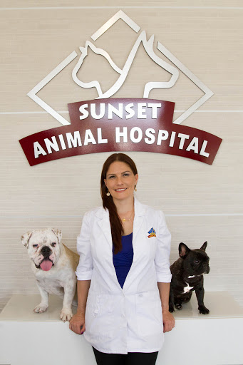 10043 Sunset Strip, Sunrise, FL 33322, USA