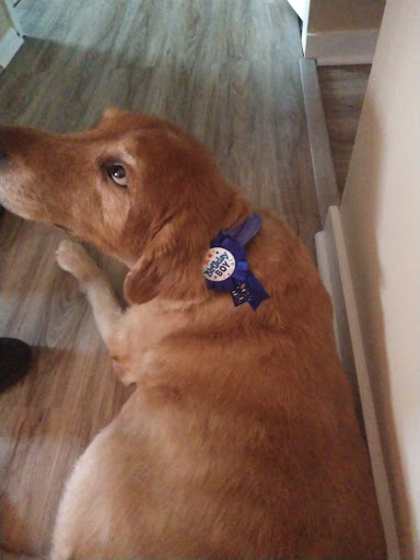 Pet Supply Store «Petco Animal Supplies», reviews and photos, 10235 Indianapolis Blvd, Highland, IN 46322, USA