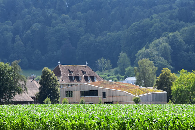 Rudolf Steiner Schule Aargau - Schule