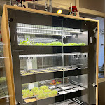 Photo n°6 de l'avis de Gabrielle.a fait le 28/04/2024 à 20:19 sur le  Weinforum Franken à Eibelstadt