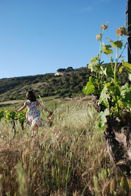 Domaine l'Aiguelière à Montpeyroux