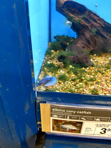 Pet Supply Store «Petco Animal Supplies», reviews and photos, 21348 Kuykendahl Rd, Spring, TX 77379, USA