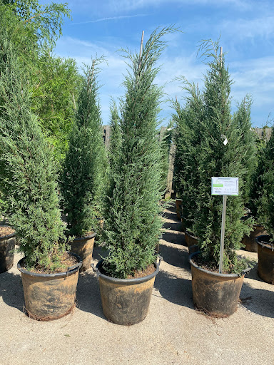 Landscaping Supply Store «Kirkwood Gardens», reviews and photos, 2701 Barrett Station Rd, Ballwin, MO 63021, USA