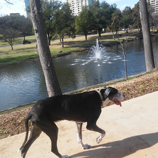 Park «Robert E Lee Park», reviews and photos, 3333 Turtle Creek Blvd, Dallas, TX 75219, USA