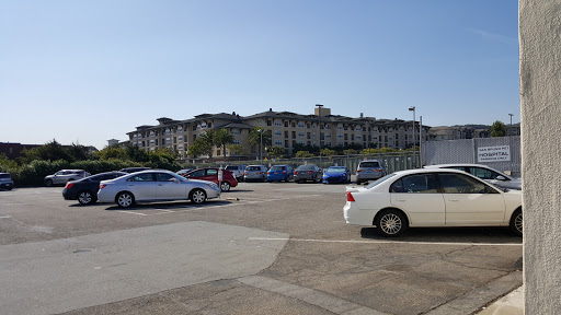 San Bruno Pet Hospital image